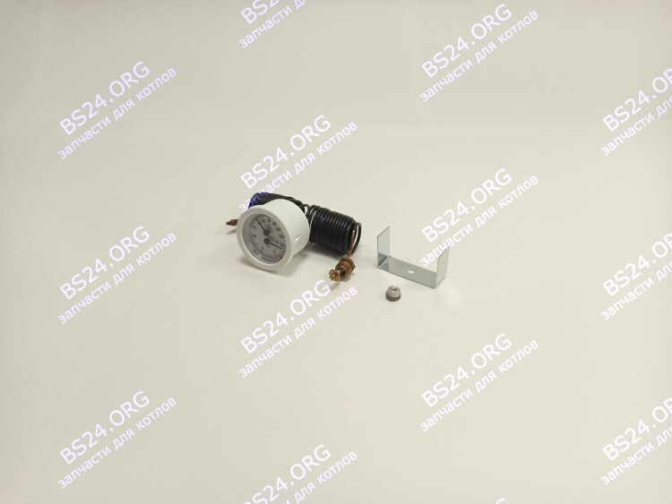 Термоманометр 0-6 bar 0-120C  (36400790) FERROLI PEGASUS F3 39806020 