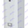 Настенный газовый котел Лемакс Prime V
