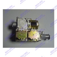Газовый клапан (электронная регулировка) BL22-02DC-DC220V Ferroli Fortuna