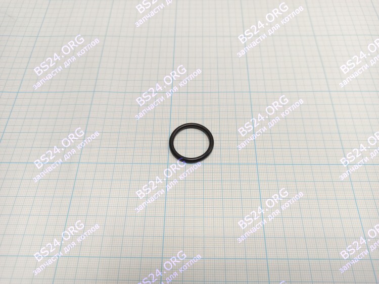 Прокладка O-Ring 2,6 X 20,6 (BI1001 130) BI1001 130 