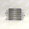 Теплообменник дымовые газы/вода битермический для Thermona THERM 14 CLN, THERM 14 TCLN (41880.1) EB052-190 