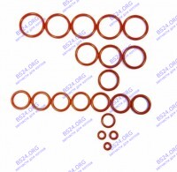 Комплект уплотнительных колец O-ring  SMF/DMF RINNAI