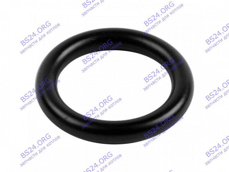 Уплотнительное кольцо воздухоспускного клапана (насоса) ARDERIA 3080016 